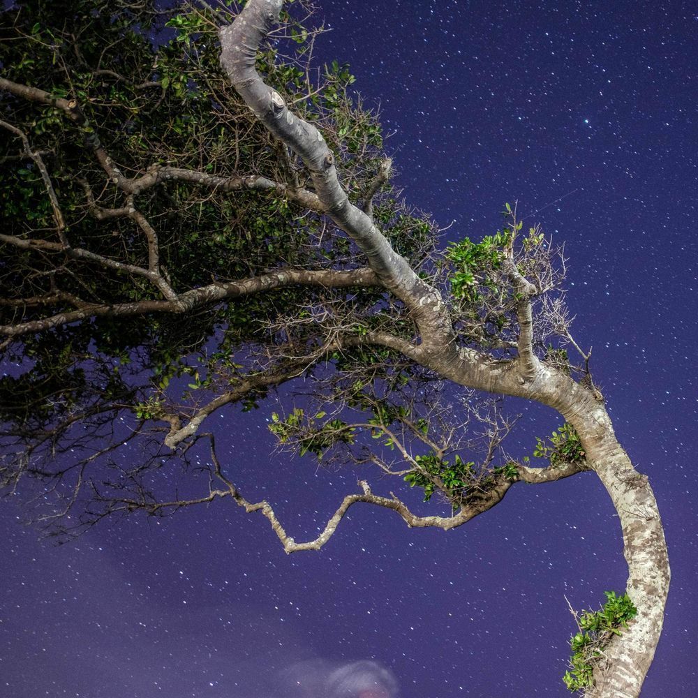 Night W Ind Art | ANASTASE PHOTOGRAPHY