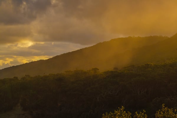 Morning Mist Art | ANASTASE PHOTOGRAPHY