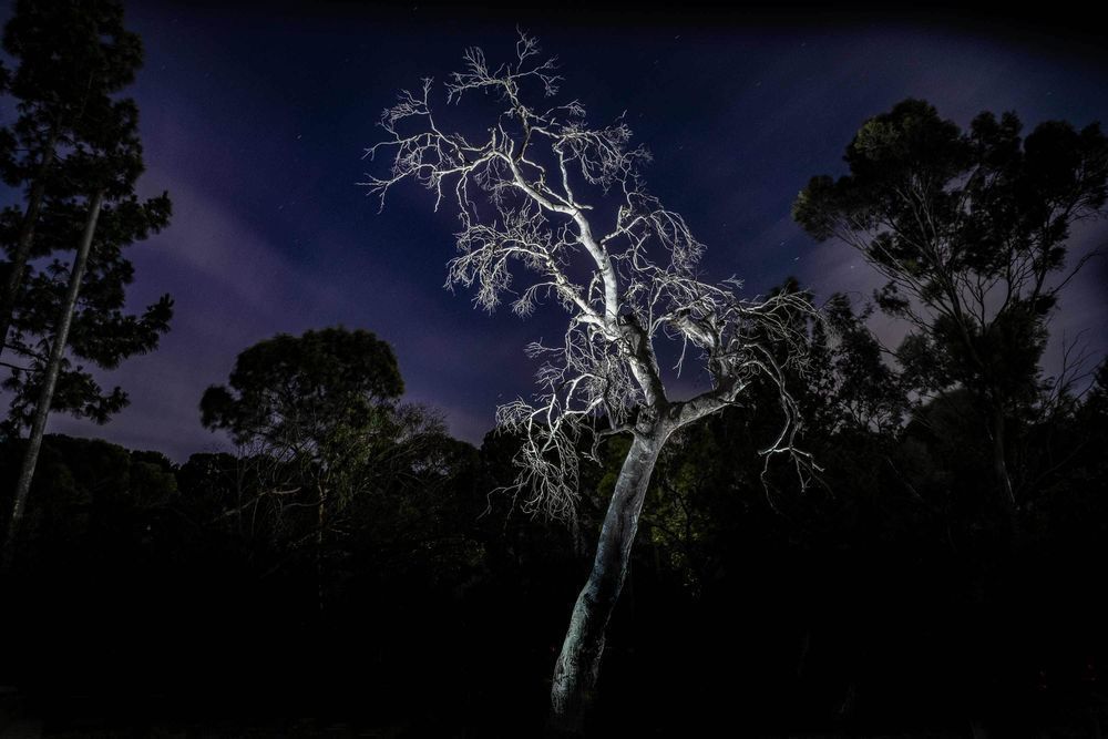 Rebel in the night - Light Painting Landscapes by Catalin Anastase