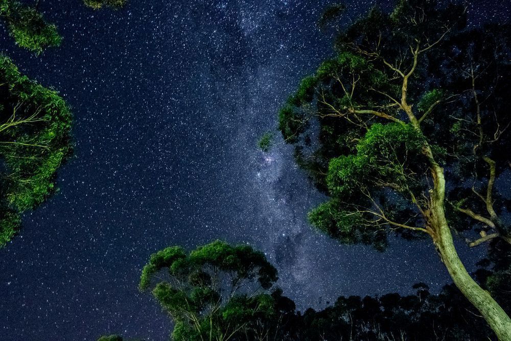 Summer Night Sky Art | ANASTASE PHOTOGRAPHY