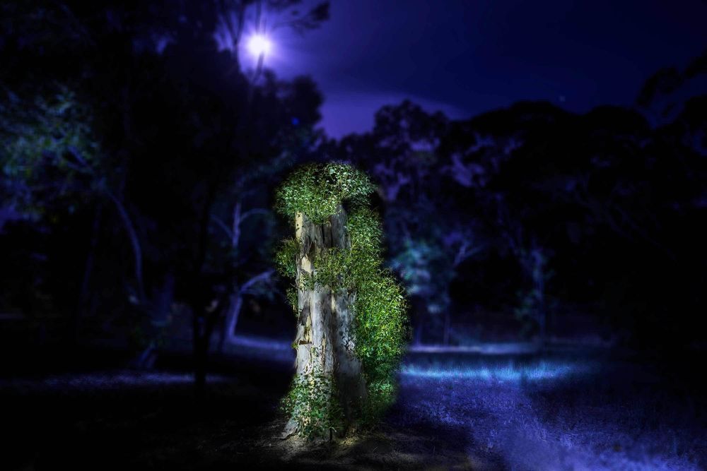 The Other World- Light Painting Landscapes by Catalin Anastase