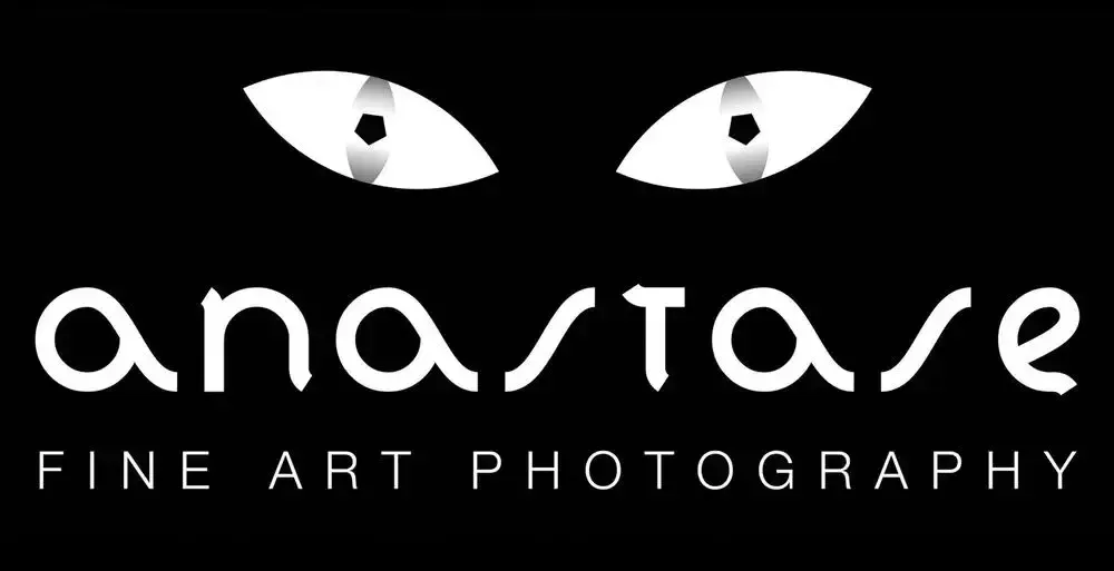 ANASTASE.NET