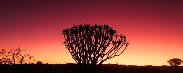 Namibia