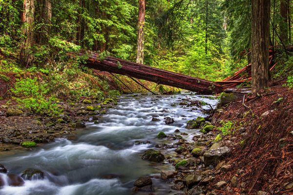California waterways | flowing rivers, quiet creeks & scenic landscapes ...