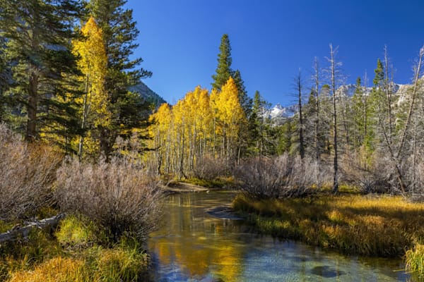 California waterways | flowing rivers, quiet creeks & scenic landscapes ...