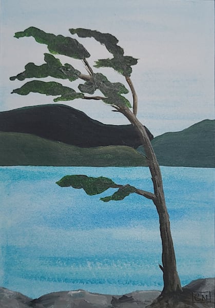 Landscapes