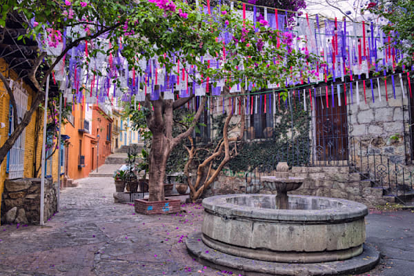 Small Courtyard, Oaxaca, Mexico