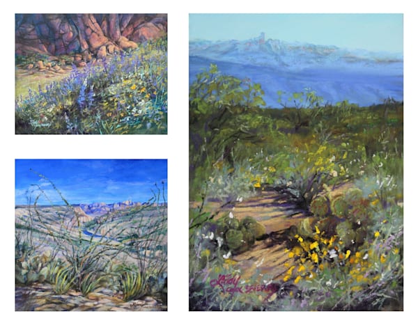 Lindy Cook Severns Art | Big Bend Collection Signed Editions