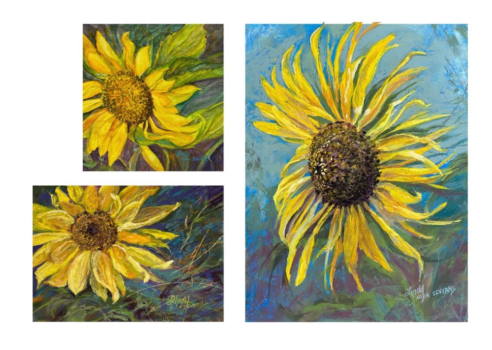 Sunflower Bundle, a trio of signed, limited edition sunflower prints