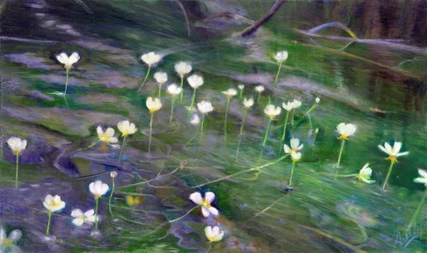 Oil Paintings