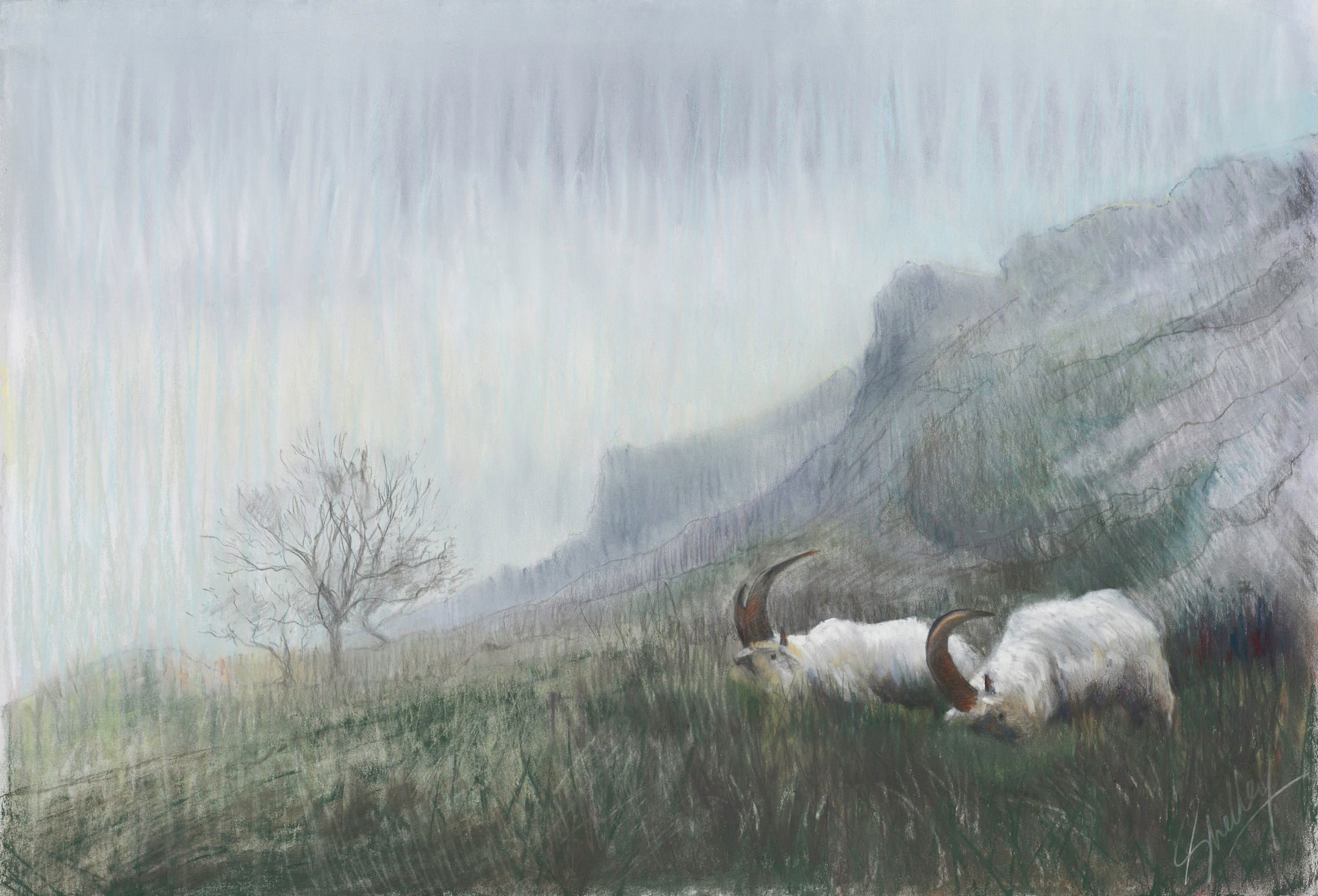 
        <div class='title'>
          Kashmir, Great Orme 22x15 2995 copy
        </div>
       