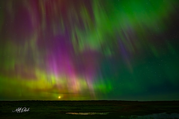 Auroras