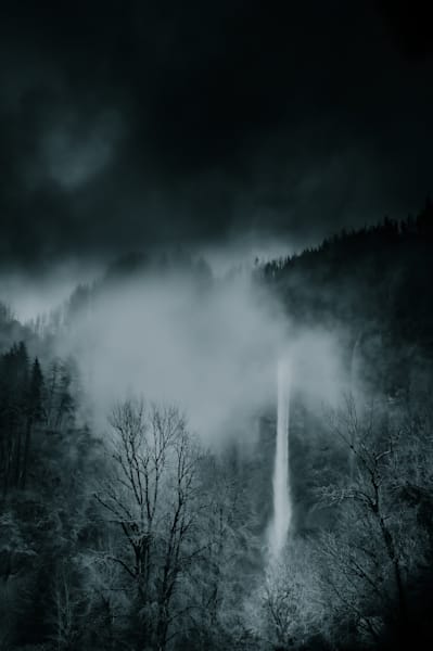 "Quietus"