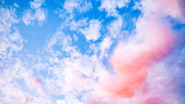 "Dreams Blush"