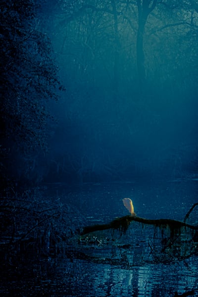 "Solace"