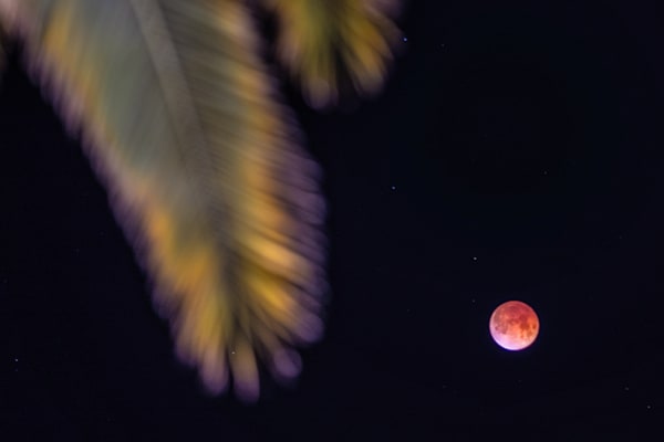 Red Moon-2