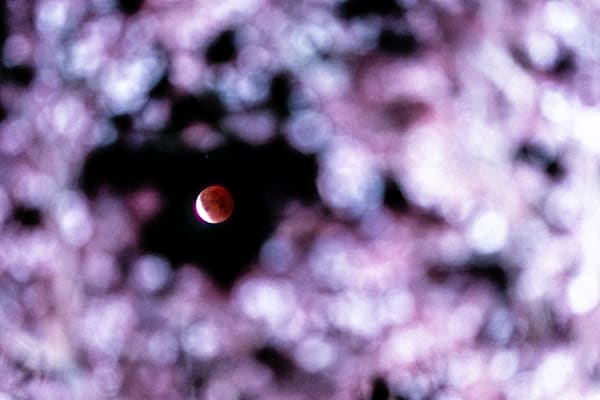 Red Moon-5