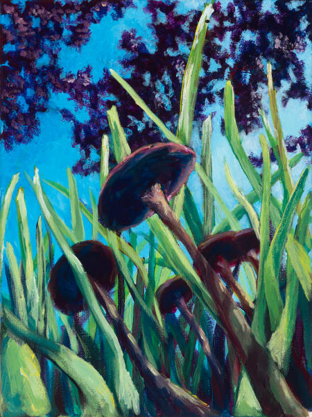 Mushroom Perspective Art | Mayim Fine Art