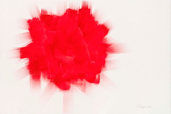 abstract red burst on clean white