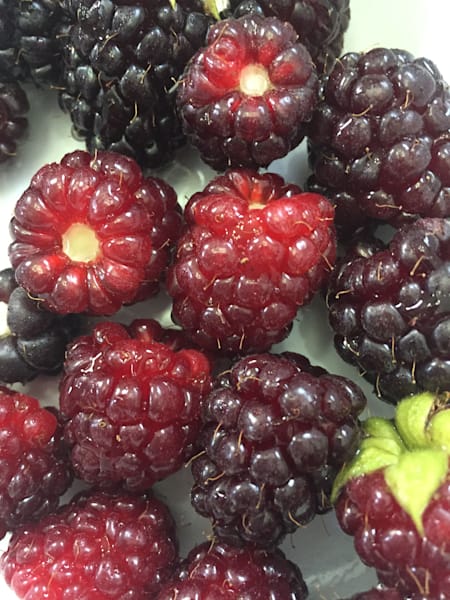 Fruits and Veggies