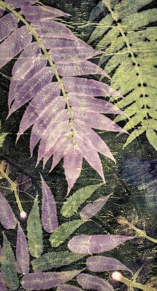 Fine Art Prints