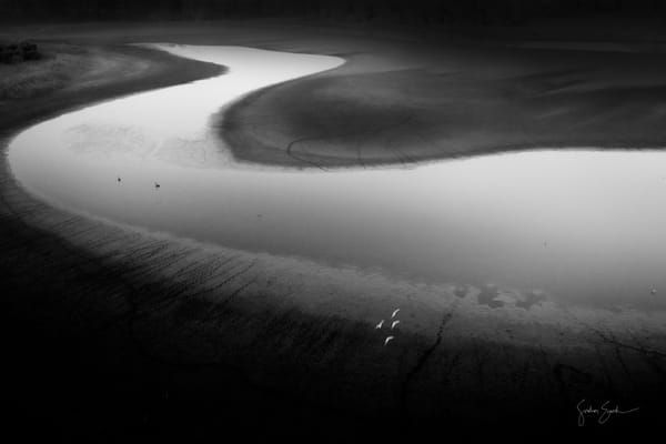 Art Series - Nature