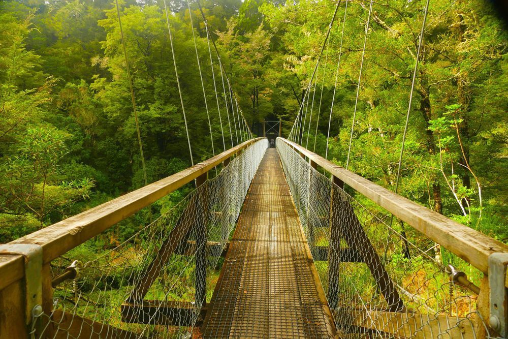 Bridge Into Green Jpg Photography Art | True Nature Photography