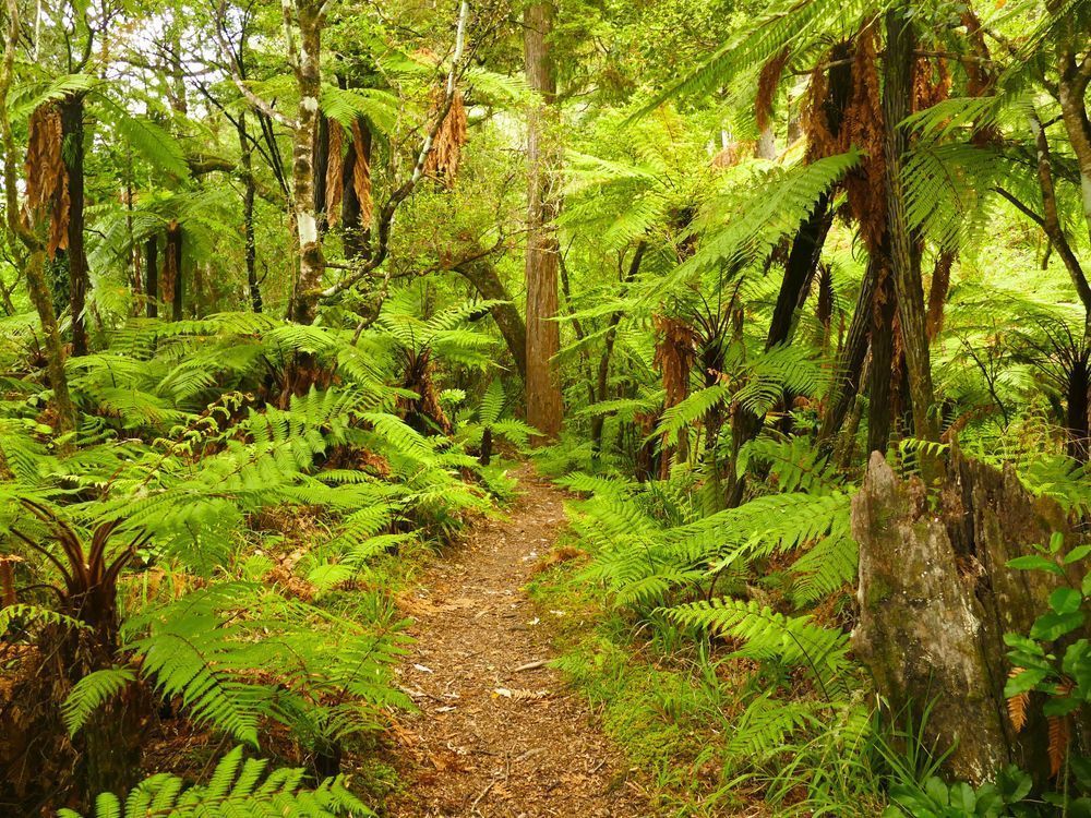 Follow The Path Photography Art | True Nature Photography