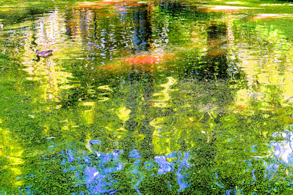Fluid Reality Photography Art | True Nature Photography