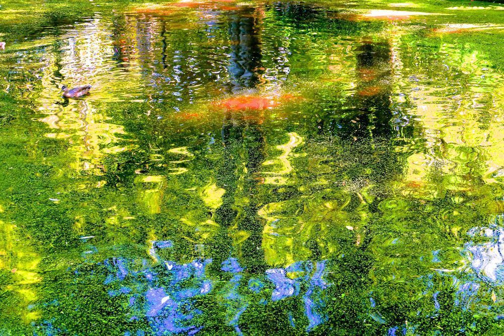 Fluid Reality Photography Art | True Nature Photography