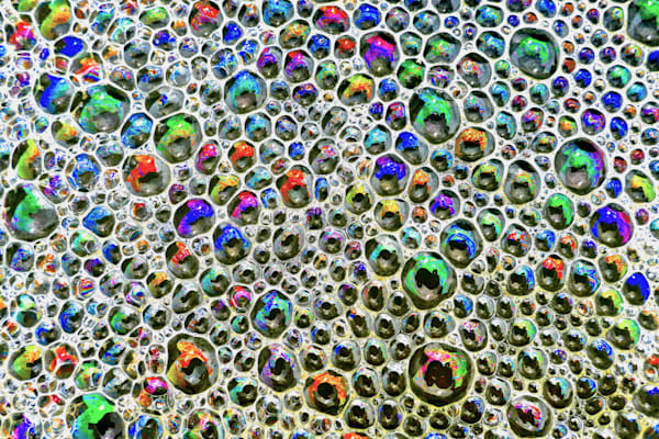 Elusive Reality Photography Art | True Nature Photography
