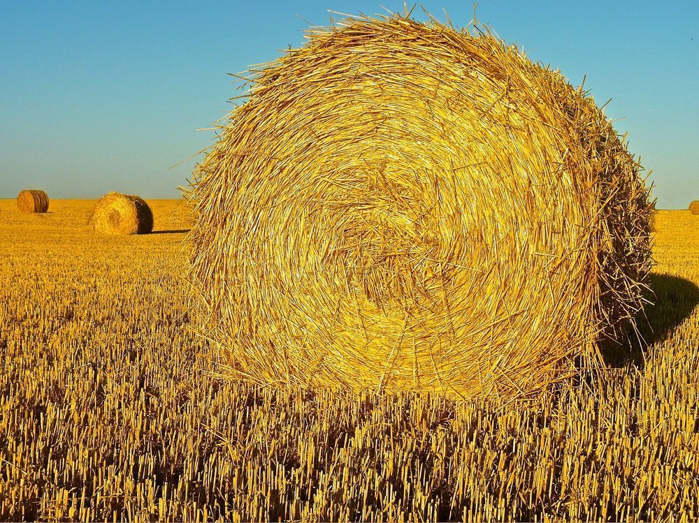 Haywheel Horizon Photography Art | True Nature Photography