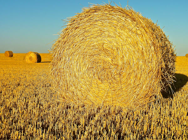 Haywheel Horizon Photography Art | True Nature Photography