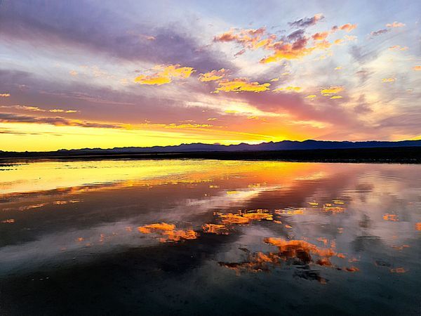 Skyscapes