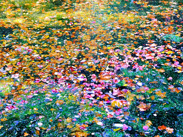 Impressionism Imagined Photography Art | True Nature Photography