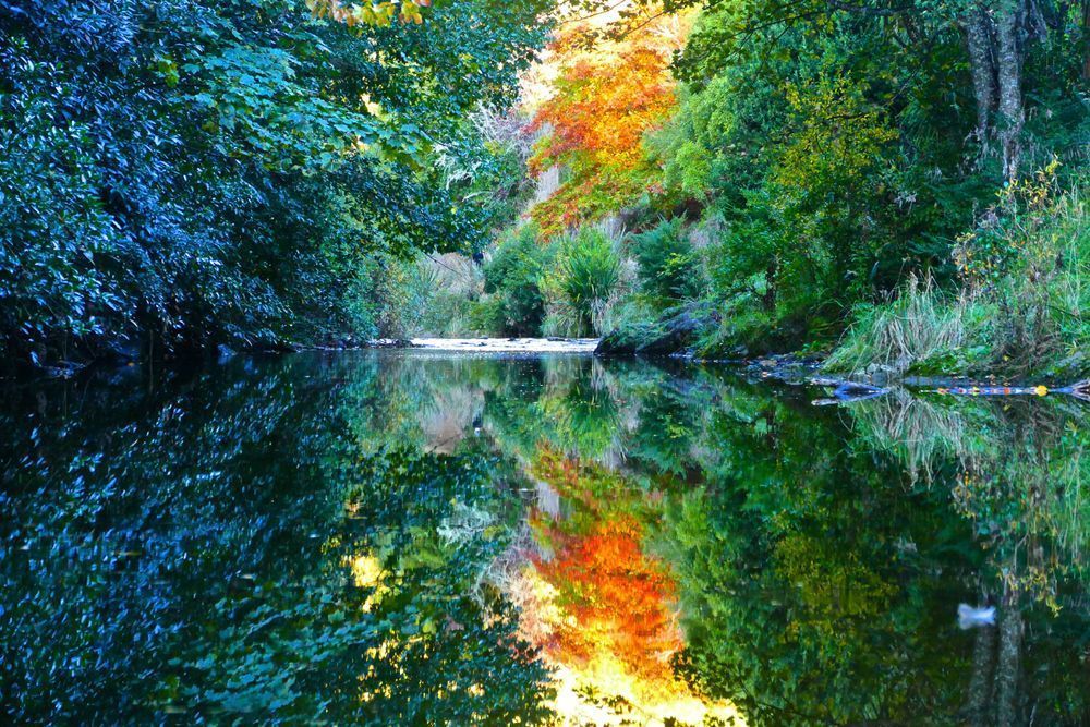 Mirror Of Calm Photography Art | True Nature Photography