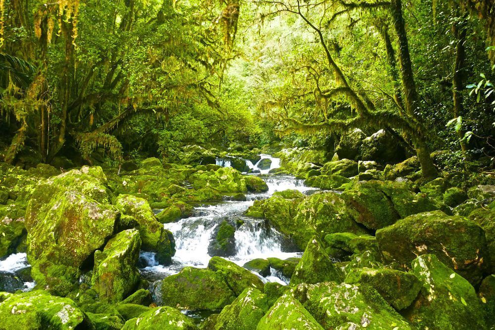 River Resurgence Photography Art | True Nature Photography