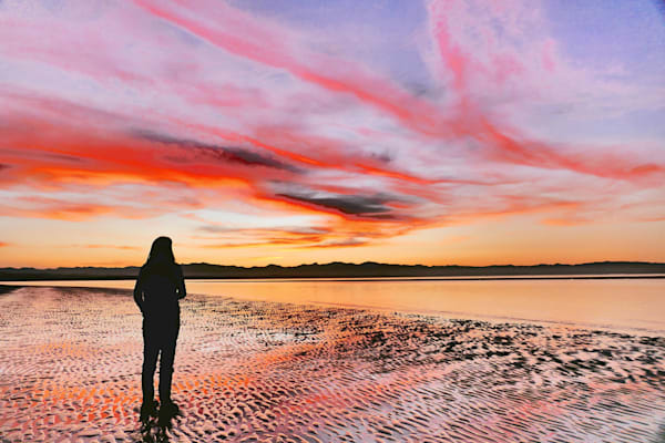 Stillness Speaks Photography Art | True Nature Photography