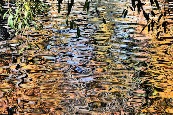 Step Into Liquid Photography Art | True Nature Photography