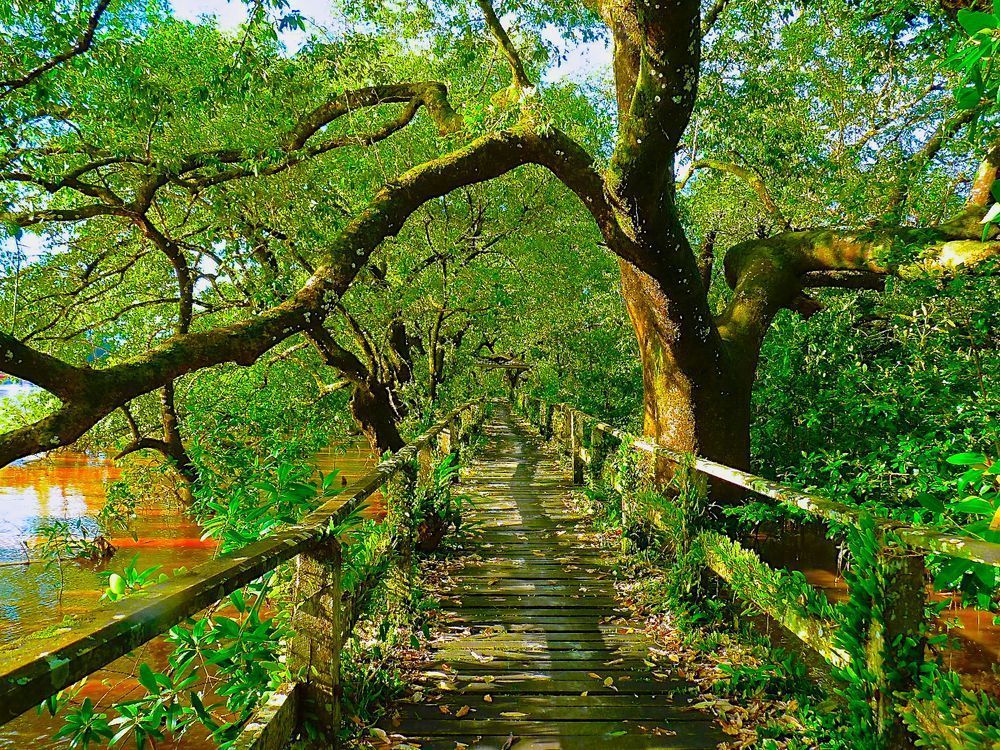 Walk This Way Photography Art | True Nature Photography