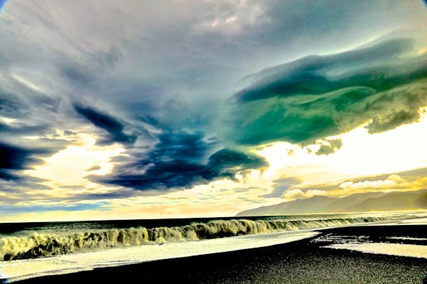 Wings Of Wonder Photography Art | True Nature Photography