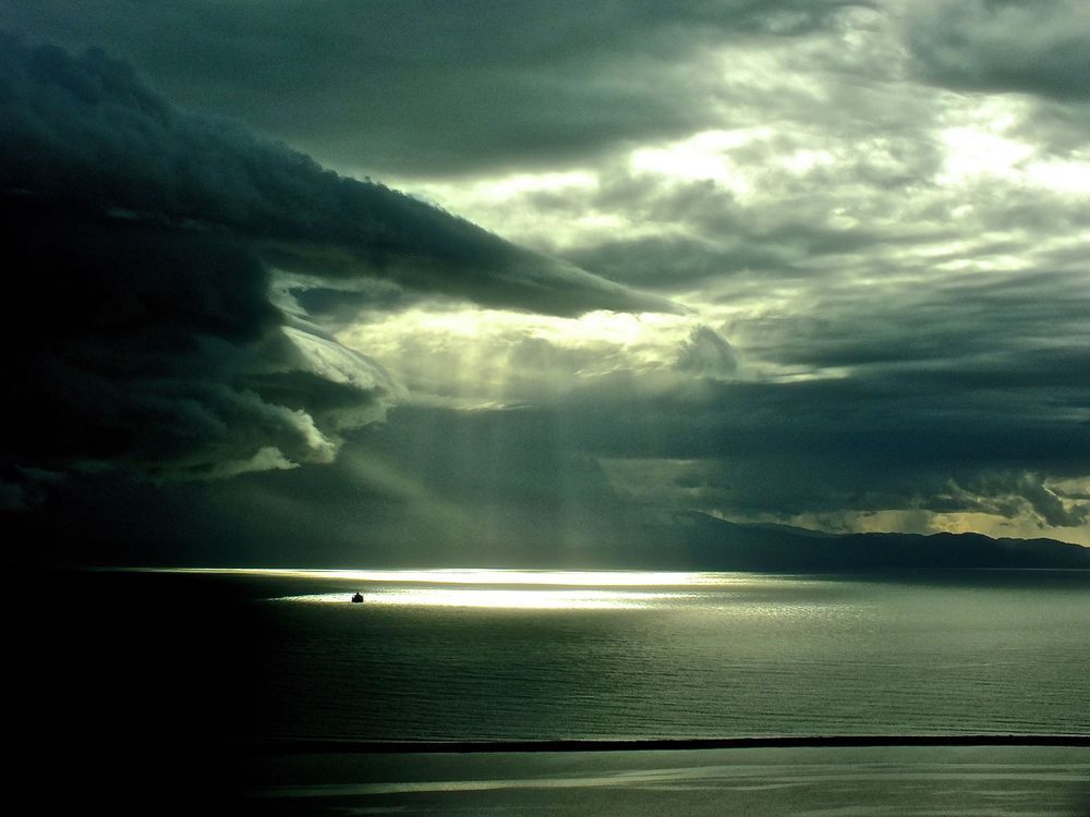 The Arrival Photography Art | True Nature Photography