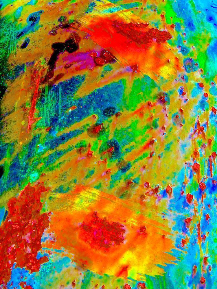 The Colours Of Time Photography Art | True Nature Photography