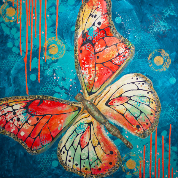 Large colorful butterfly