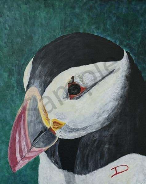 Puffin