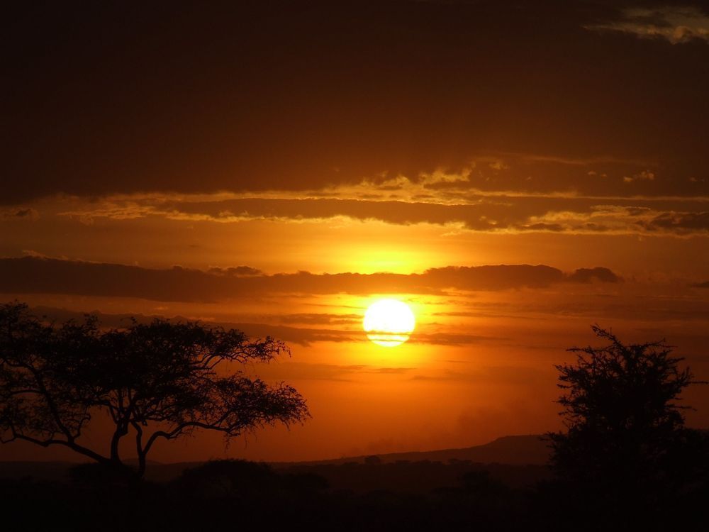 East Africa 2011 650 Photography Art | Claire Wayte Fine Art Photography