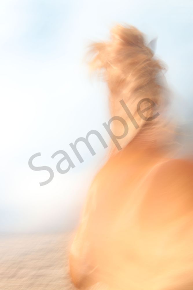 Inspiration Photography Art | Claire Wayte Fine Art Photography
