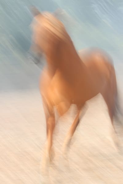Inspiration#1 | Claire Wayte Fine Art Photography