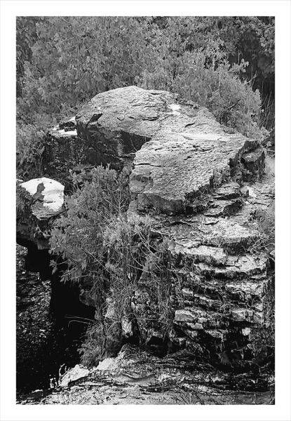 Rockwood Photography Art | Levz Art