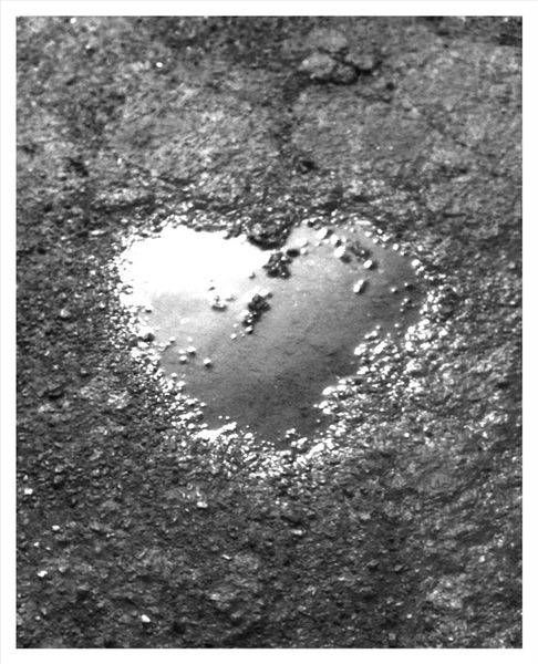 Puddle Photography Art | Levz Art